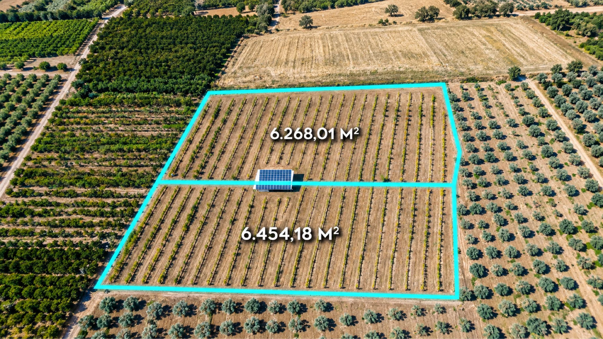RE/MAX TEOKTAN BAĞYURDUNDA GES VE SONDAJLI 12.722 M² BAĞ